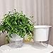 Vencer Self Watering Planter Pot(3 Pack) - for All House Plants,Herbs,African Violets,Succulents,Flowers or Start Seedlings,White,VF-038
