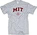 New York Fashion Police MIT T-Shirt Massachusetts Institute of Technology MIT Shirt Arch Grey S