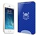 iPhone SE Glass Screen Protector (Apple iPhone 5,5S,5C,5SE,5 SE), Skinomi Tech Glass - Lifetime Warranty / Ultra Thin Tempered Glass - Clear 9H Hardness w/ Oleophobic Coating - 99% Clarity