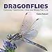 Dragonflies: Catching - Identifying - How and Where They Live