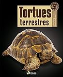 Tortues terrestres (GUIDE TERRARIO) (French Edition) by 