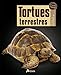 Tortues terrestres (GUIDE TERRARIO) (French Edition) by 