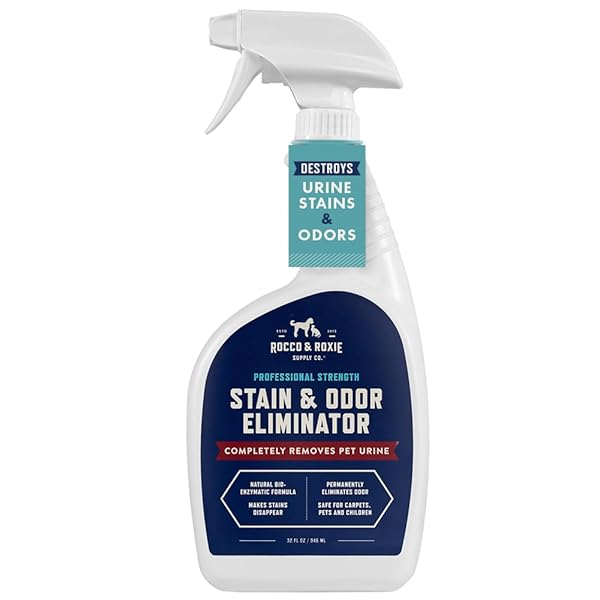ROCCO & ROXIE STAIN & ODOR ELIMINATOR FOR STRONG ODOR, 32OZ ENZYME PET ODOR ELIMINATOR FOR HOME, CARPET STAIN REMOVER FOR CATS & DOG PEE, ENZYMATIC CAT URINE DESTROYER, CARPET CLEANER SPRAY