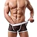 HP95(TM) Men's Bikini Underwear, Low Waist Mesh Transparent Sexy Boxers Bulge Comfy Shorts Underpants Underwear (M, D)