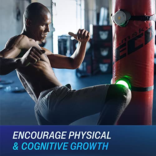 BlazePod Reaction Training Platform for Boxing & All Combat Sports