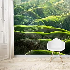 Wall Mural Spectacular Scenery of Nature Removable Self-Adhesive Large Wallpaper - 66x96 inches