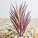 Fuyamp 5 Pcs Color Random Mini Fake Succulents Plants Unpotted Artificial Cactus Plants for Home Office Garden Decor (Style1)