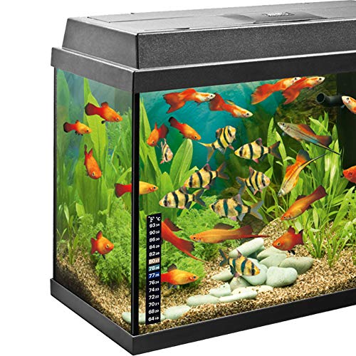 6 Miracliy+Thermometer+Temperature+Traditional+Fahrenheit