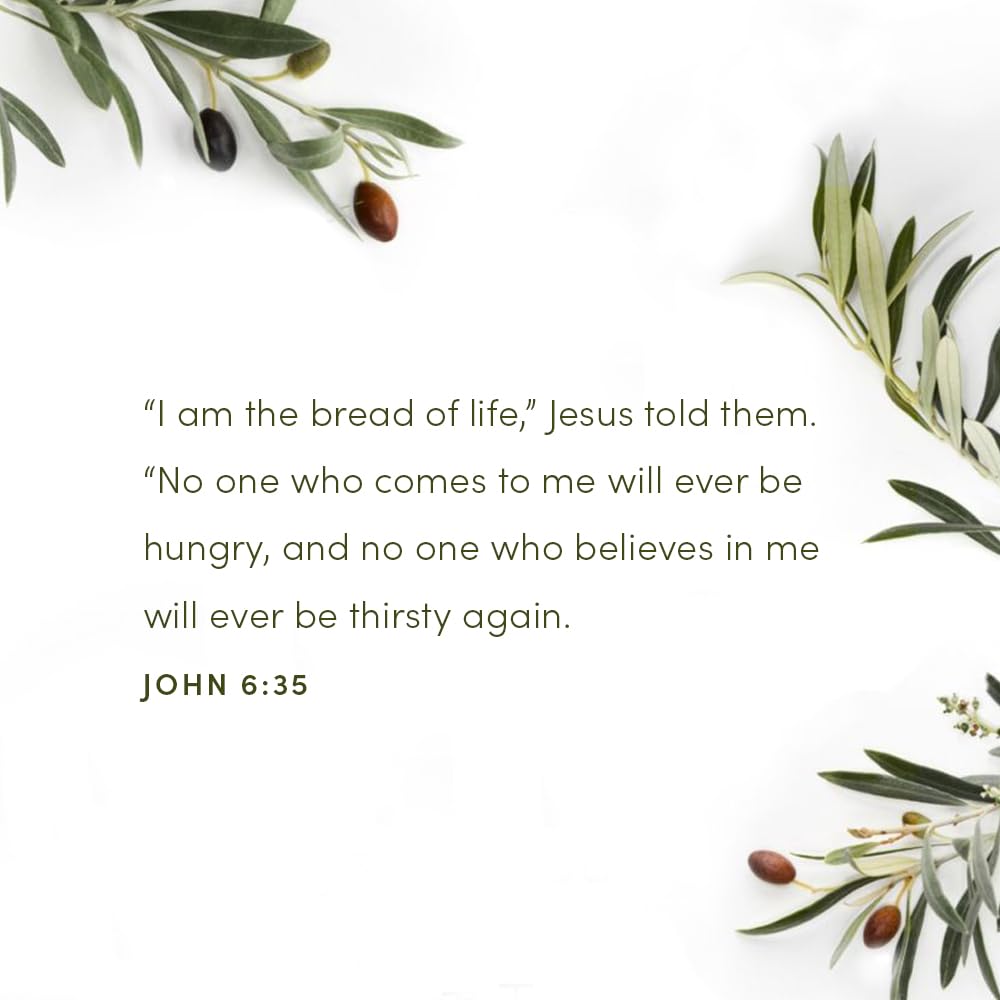 Finding I AM - Bible Study for Women with Video Access: How Jesus Fully Satisfies the Cry of Your Heart