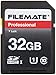 Wintec 3FMSD32GBC10-R Filemate 32 GB Professional Class 10 Secure Digital SDHC Card