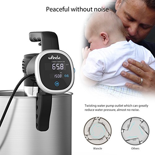 Sous Vide Cooker, Thermal Immersion Circulator, with Recipe E-Cookbook, Accurate Temperature Digital Timer, Ultra-quiet, 850 Watts, 120V, Stainless Steel/Black