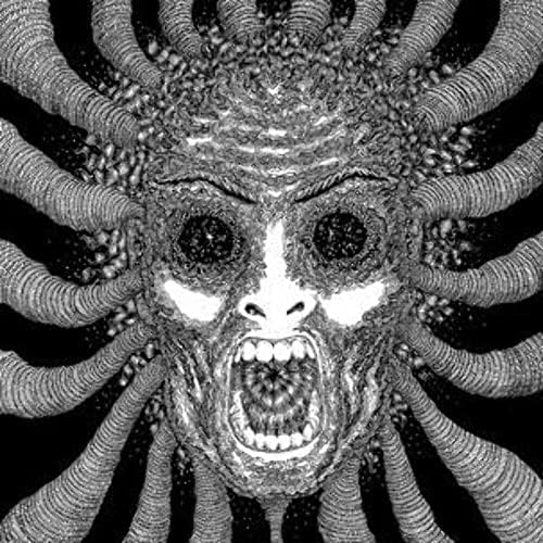 Ty Segall - Freedom's Goblin - Amazon.com Music