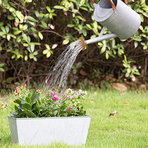 HORTICAN Hänge Pflanzgefäß, Hang Blumentopf, Metallbehälter Ampeln, Wandtasche, Garteneimer für Innen und Außenbereich… – Bild 7