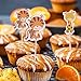48Pcs Animal Cupcake Toppers Double Sided Kids Party Cake Snack Decorations, Food Picks Baby Shower Decorating Tools