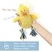 KLEEGER Laughing Large Plush Dog Toy: Tough Puppy Chew/Teething/Tug Of War Toy That Chuckles When Shaken (Set Of 3)