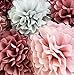 20 PCS Pink Rose Gold Party Decoration - Tissue Paper Pom Poms - Birthday Party Decoration - Baby Shower - Bridal Shower - Rose Gold, Dusty Rose, Blush Pink, Grey - 14”, 10”, 8”, 6