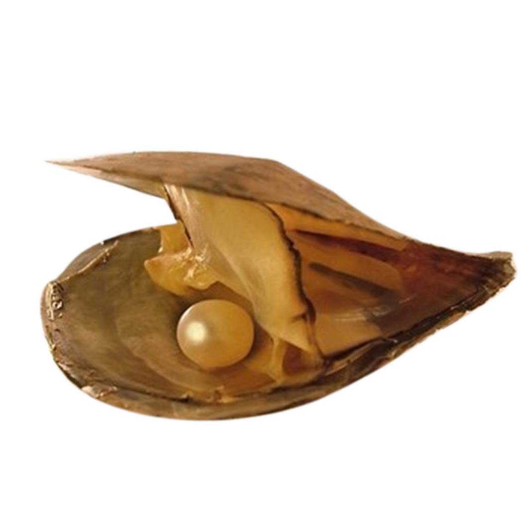 6 psc Vacuum Packaging Mussel Oyster Drop Pearl Pendant Pearls (White)