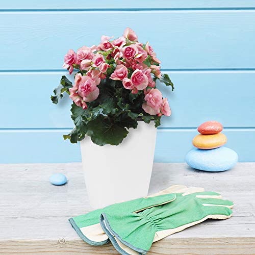 Ulikey Selbstbewässerung Blumentopf, 6 Stück Selbstwässernde Wasserspeicher Pflanzgefäße mit Bewässerungssystem… – Bild 7