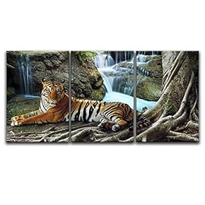 3 Panel A Tiger in Tropical Landscape x 3 Panels