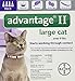 Advantage II Monthly Flea Treatment - Large Cat - 4 ct