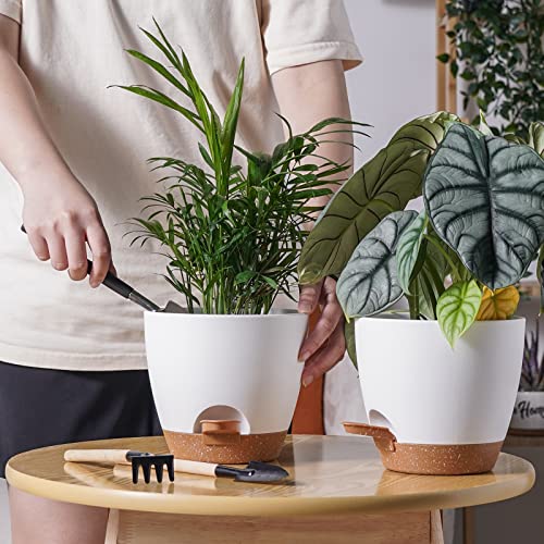JOFAMY 6 inch Planter Pots, 5-Pack Self Watering Planters for Indoor Outdoor Plants, Plastic Plant Pots Set with Drainage Hole, Decorative White Flower Pots for All House, Garden Plants