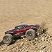 ECX Ruckus 4WD Monster Truck: RTR (1:18 Scale)