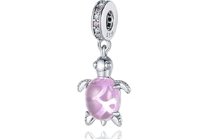 Pandach 925 Sterling Silver Dangle Charms Beads Pendants Fit for most Charm Bracelets Necklaces Gift for Women Girls DIY Jewe