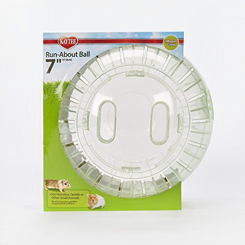 2 Kaytee+Run+About+Hamster+Exercise+Ball