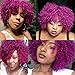 AISI HAIR Afro Curly Wig for Black Women Kinky Curly Hair Wig Glueless Synthetic Afro Wigs for Daily (Purple Color)…