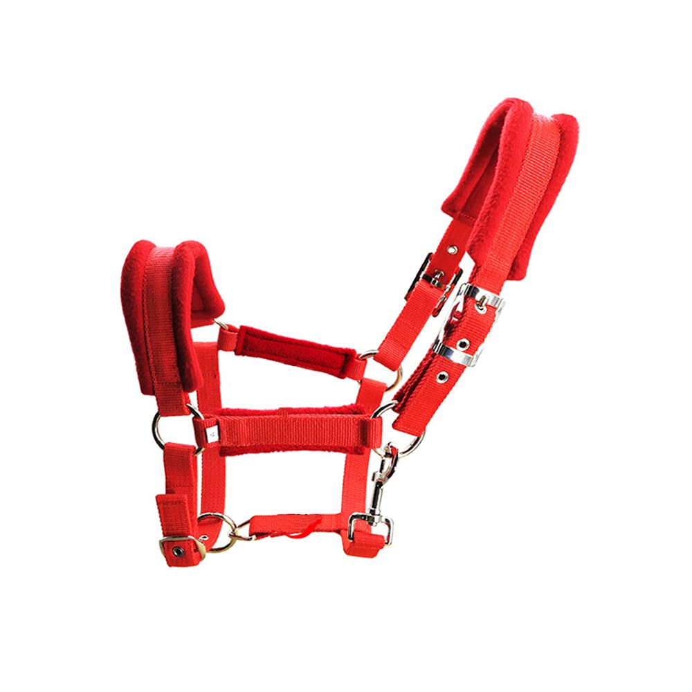 Namvo Horse Halter Bridle With Rein, Adjustable Horse Bridle Headstalls High Density Thickened Webbing with Soft Thick Cushion Control Halter Riding Accessories