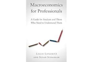 Macroeconomics for Professionals