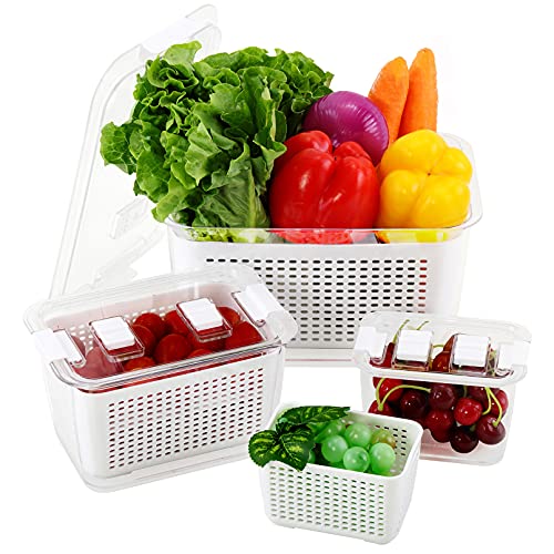 REFSAVER Fruit Storage Containers for Fridge Fresh Vegetables
