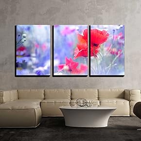 3 Piece Canvas Wall Art - Field of Bright Red Poppy Flowers in Summer - Modern Home Art Stretched and Framed Ready to Hang - 16"x24"x3 Panels