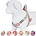 Blueberry Pet 9 Patterns Step-in Spring Scent Inspired Floral Rose Print Turquoise Dog Harness, Chest Girth 20