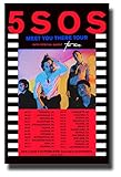 5 Seconds of Summer 5SOS Poster Concert Promo 11 x 17 inches Five Meet You There Tour