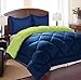 Clara Clark A Goose Down Alternative Reversible 3-Piece Comforter Set with 2 Pillow Shams, King, Lime Green/Royal Blue