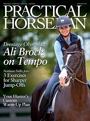 Practical Horseman