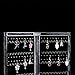 Myjell 120 Earring Holder Jewelry Hanger Organizer Foldable Acrylic Earring Screen Display Stand Hanging Earrings Bracelets Necklaces 2-Panel