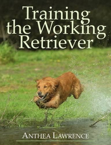 working retriever