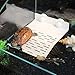 Together-life Turtle Basking Floating Platform Turtles Climbing Dock Crawling Rest Terrace Aquarium Fish Tank Decor for Small Reptile Tortoise Frog Newt Terrapinthumb 3