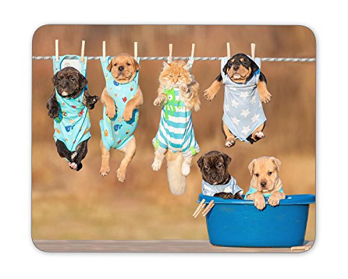 The Funny Puppy Is Drying On The Rope Mouse Pad Mouse Mouse Pad Mouse Pad Pad Office Mouse Pad Gaming Mouse Pad Mat Mouse Pad Mousepad Dimension: 9.5