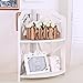 HornTide Brief Fashion Organizer Storage Rack 2-Tier Corner Shelf for Cosmetic Doll Potted-Plant Vitamins Supplements Caddy DIY Desk Table Decoration Wood-Plastic Composites White