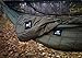 OneTigris Shield Cradle Double Hammock Underquilt, Winter & 3 Seasons, Essential Hammock Gear