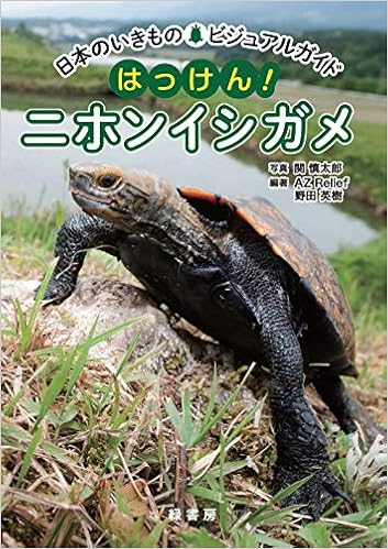 日本のいきものビジュアルガイド はっけん ニホンイシガメ Az Relief 野田 英樹 Az Relief 野田 英樹 関 慎太郎 本 通販 Amazon