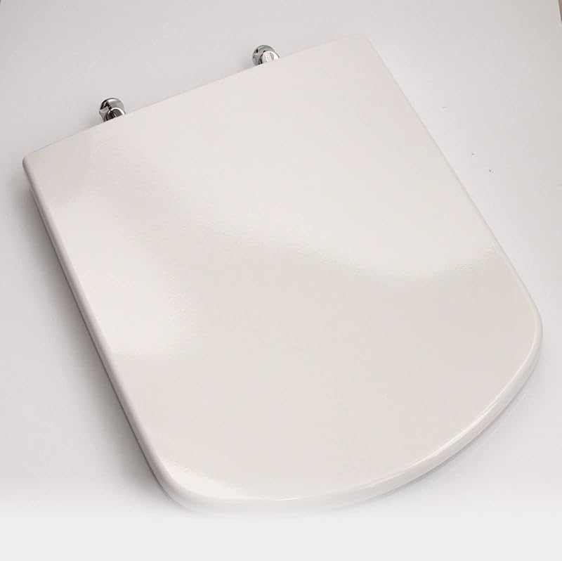 Roca Dama Senso Toilet Seat White 801511004 Replacement with Hinges
