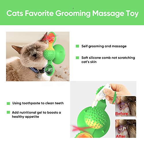 Sestball Cat Toys Interactive Chew Toys for Indoor Cats Ball Windmill Catnip Toy Cat Toothbrush Funny Kitten Toys Cats Hair Brush Turntable Massage Scratching Tickle Toy with Suction Cup (Green)