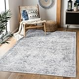 Domitapis Area Rug 3×5, Vintage Boho