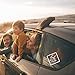 Baby On Board Clear and White Safety Car Decal Window Sticker - 2 Pack Premium Quality - 5