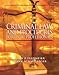 Criminal Law and Procedure for Legal Professionals