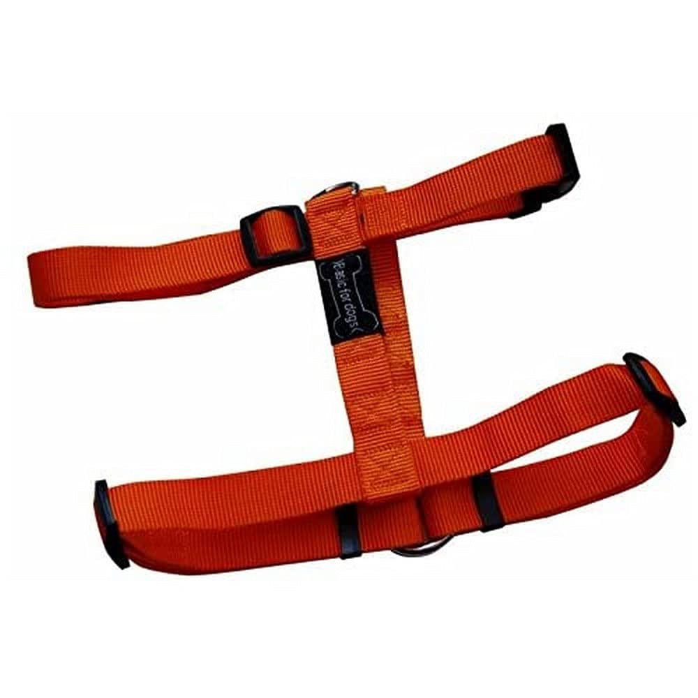 Wouapy Basic Line Harness for Dog, 15 mm Width/Thorax of 43/65 cm, Orange Harness